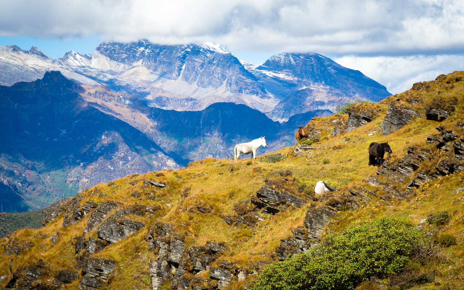 Bhutan Sustainable Dagana Trek