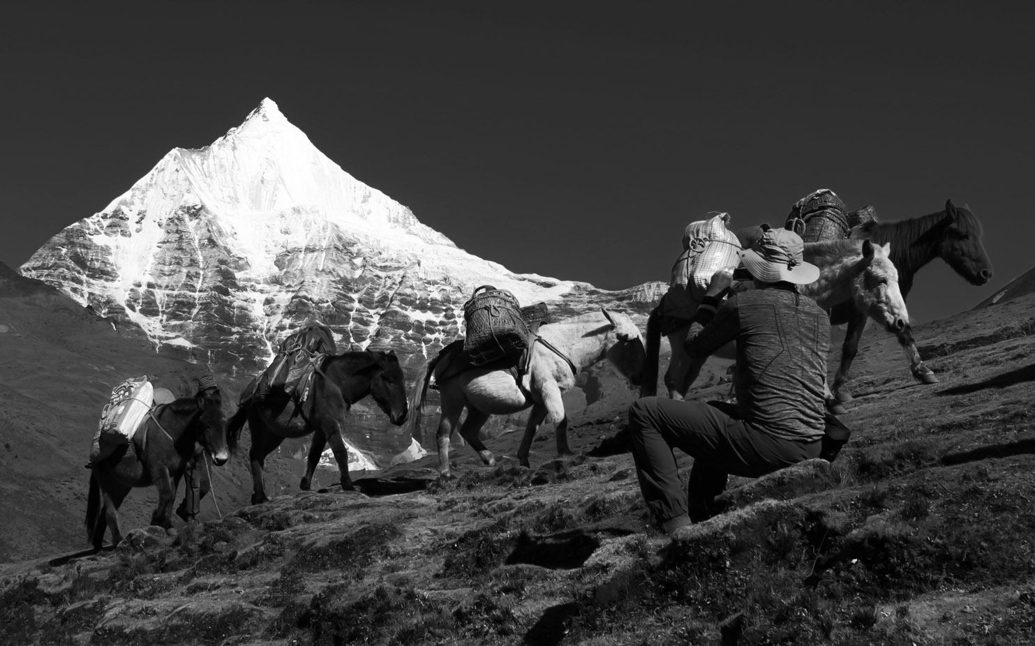 Jomolhari Yaktsa Bhutan Trek